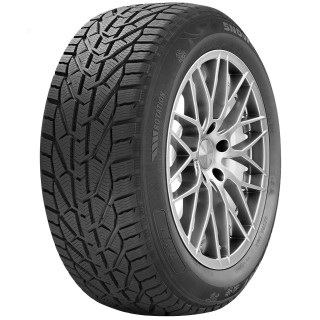 205/65 R15 94 T Riken Snow
