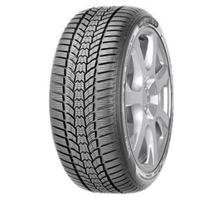 225/45 R17 91H SAVA ESKIMO HP 2 FP