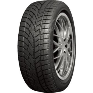 255/40 R19 100V RoadX WU01