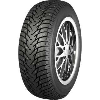 195/55 R16 91 T Nankang Ice Activa Sw-8