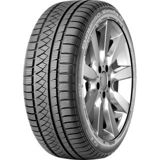 255/50 R19 107 V Gt-radial Champiro Winterpro Hp Xl M+s 3pmsf (tl)