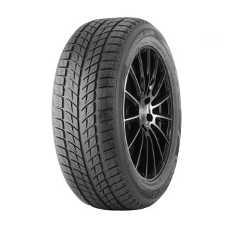 215/45 R17 91 H Double Star Dw09