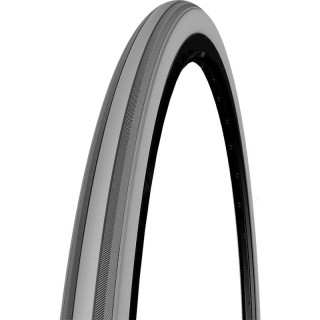 25 R489   Cst C-1407 Fischgrt 22x1