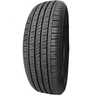 275/40 R22 107 W Sunny Nu025xl