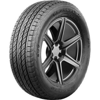 225/55 R18 98 V Antares  Majoris R1