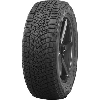 245/45 R18 100 T Nankang Ice Activa 2