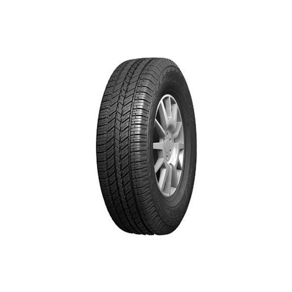 245/65 R17 107 S Evergreen Es82