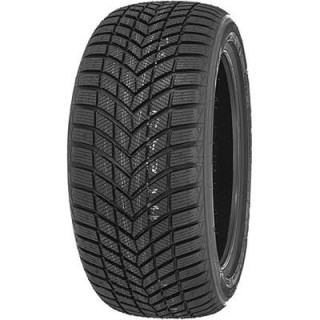 205/55 R16 94 H Infinity Ecozen