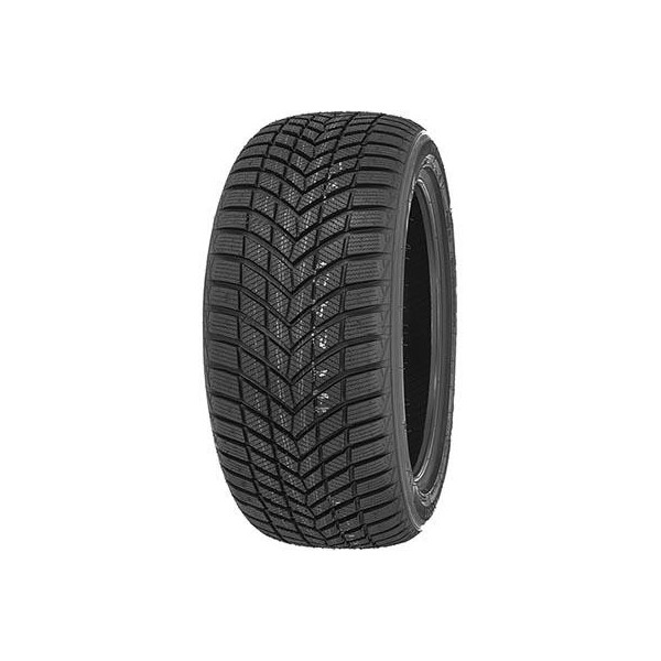 205/55 R16 94 H Infinity Ecozen