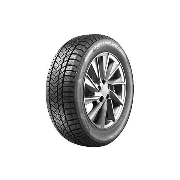 225/50 R17 98 V Sunny Wintermax Nw211
