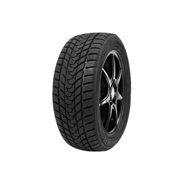 195/55 R15 85 H Delinte Wd1