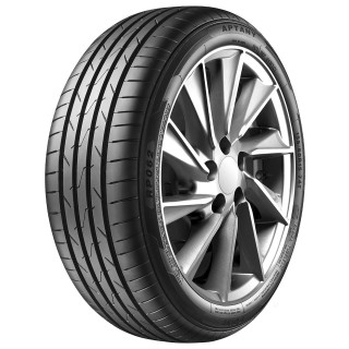 205/55 R16 91 W Aptany Rp062
