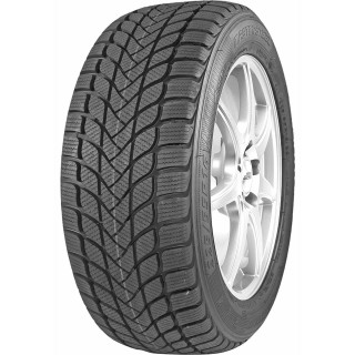 245/45 R18 100 H Mastersteel Wintpl1xl