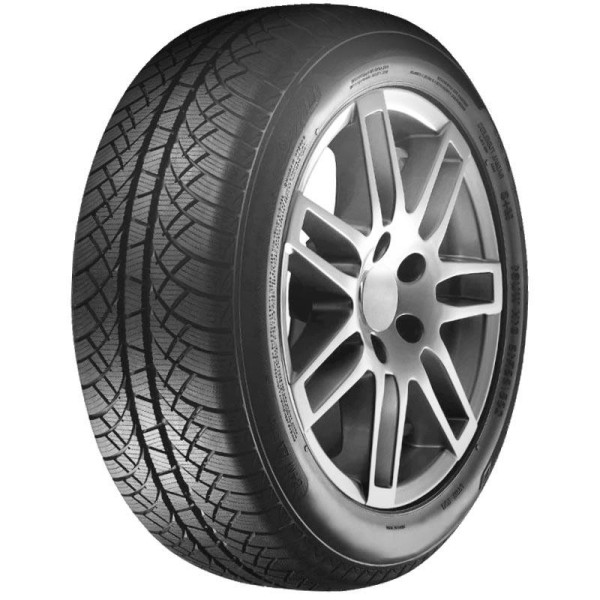 205/65 R15 94 T Sunny Wintermax Nw611