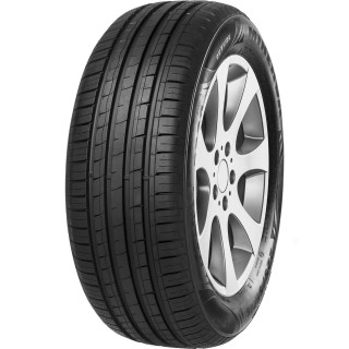 205/55 R16 91 W Minerva F209